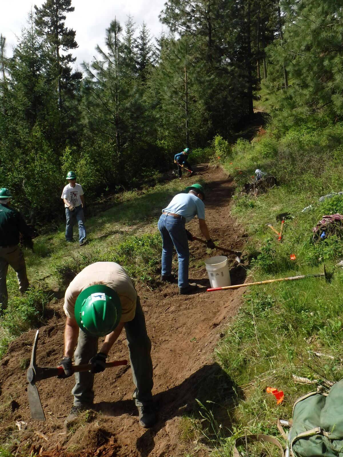 Whacking at the ground with a Pick Mattock